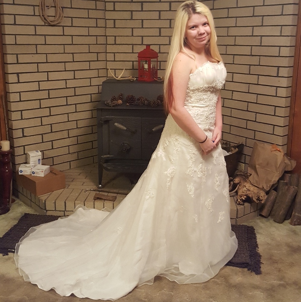 David's Bridal Fit to flare wedding gown